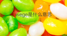 wege是什么意思 wege的翻译、读音、例句、中文解释