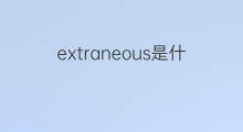 extraneous是什么意思 extraneous的翻译、读音、例句、中文解释