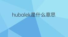 hubalek是什么意思 hubalek的翻译、读音、例句、中文解释