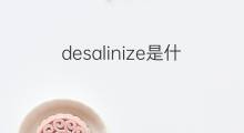 desalinize是什么意思 desalinize的翻译、读音、例句、中文解释