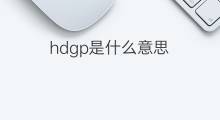 hdgp是什么意思 hdgp的翻译、读音、例句、中文解释
