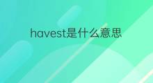 havest是什么意思 havest的翻译、读音、例句、中文解释