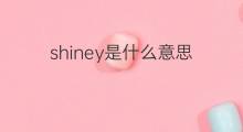 shiney是什么意思 shiney的翻译、读音、例句、中文解释