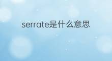 serrate是什么意思 serrate的翻译、读音、例句、中文解释