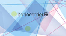 nanocarrier是什么意思 nanocarrier的翻译、读音、例句、中文解释