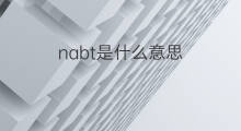nabt是什么意思 nabt的翻译、读音、例句、中文解释