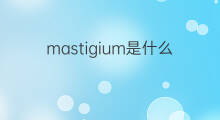 mastigium是什么意思 mastigium的翻译、读音、例句、中文解释