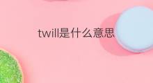 twill是什么意思 twill的翻译、读音、例句、中文解释