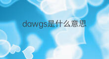 dawgs是什么意思 dawgs的翻译、读音、例句、中文解释
