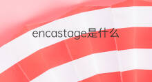 encastage是什么意思 encastage的翻译、读音、例句、中文解释