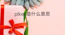 pikey是什么意思 pikey的翻译、读音、例句、中文解释