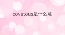covetous是什么意思 covetous的翻译、读音、例句、中文解释