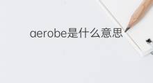 aerobe是什么意思 aerobe的翻译、读音、例句、中文解释
