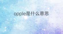 opple是什么意思 opple的翻译、读音、例句、中文解释