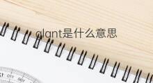 glant是什么意思 glant的翻译、读音、例句、中文解释