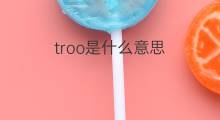 troo是什么意思 troo的翻译、读音、例句、中文解释