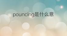 pouncing是什么意思 pouncing的翻译、读音、例句、中文解释