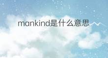 mankind是什么意思 mankind的翻译、读音、例句、中文解释