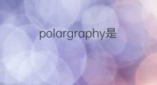 polargraphy是什么意思 polargraphy的翻译、读音、例句、中文解释