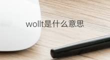 wollt是什么意思 wollt的翻译、读音、例句、中文解释