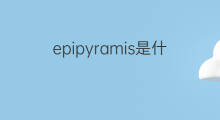 epipyramis是什么意思 epipyramis的翻译、读音、例句、中文解释