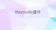 thornville是什么意思 thornville的翻译、读音、例句、中文解释
