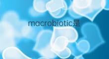 macrobiotic是什么意思 macrobiotic的翻译、读音、例句、中文解释