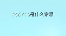 espinas是什么意思 espinas的翻译、读音、例句、中文解释