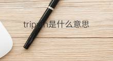 trippin是什么意思 trippin的翻译、读音、例句、中文解释