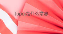 tupai是什么意思 tupai的翻译、读音、例句、中文解释