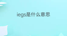 iegs是什么意思 iegs的翻译、读音、例句、中文解释