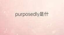purposedly是什么意思 purposedly的翻译、读音、例句、中文解释