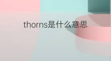 thorns是什么意思 thorns的翻译、读音、例句、中文解释