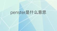 penster是什么意思 penster的翻译、读音、例句、中文解释