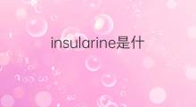 insularine是什么意思 insularine的翻译、读音、例句、中文解释