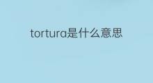 tortura是什么意思 tortura的翻译、读音、例句、中文解释