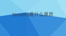 tessera是什么意思 tessera的翻译、读音、例句、中文解释