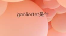 ganliortet是什么意思 ganliortet的翻译、读音、例句、中文解释