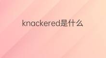 knackered是什么意思 knackered的翻译、读音、例句、中文解释