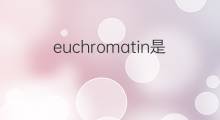 euchromatin是什么意思 euchromatin的翻译、读音、例句、中文解释