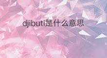 djibuti是什么意思 djibuti的翻译、读音、例句、中文解释