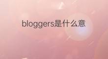 bloggers是什么意思 bloggers的翻译、读音、例句、中文解释