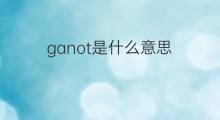 ganot是什么意思 ganot的翻译、读音、例句、中文解释