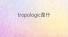 tropologic是什么意思 tropologic的翻译、读音、例句、中文解释