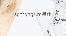 sporangium是什么意思 sporangium的翻译、读音、例句、中文解释