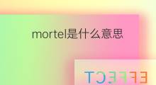 mortel是什么意思 mortel的翻译、读音、例句、中文解释