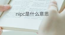 nipc是什么意思 nipc的翻译、读音、例句、中文解释