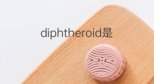 diphtheroid是什么意思 diphtheroid的翻译、读音、例句、中文解释