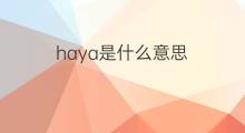 haya是什么意思 haya的翻译、读音、例句、中文解释