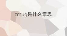 tmug是什么意思 tmug的翻译、读音、例句、中文解释